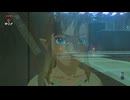 【実況】『ゼルダの伝説 ブレス オブ ザ ワイルド』 Part30