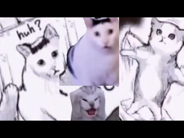 快楽天に紛れてる猫ミームたち