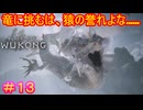 【黒神話：悟空#13】輝く雪の世界から、薄暗い牢獄へ……って、ダクソ３のイルシールじゃん【Black Myth: Wukong】