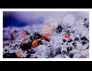 不夜城 / feat.星界