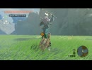 【ティアキン】ラネール湿原のライネル　ゼルダの伝説ティアーズオブザキングダム #ゼルダの伝説 #ティアキン #zelda
