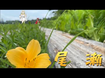 【霊夢の病み旅日記】動植物の宝庫「尾瀬」（ゆっくり・AI.Voice旅行）