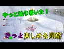 【ピクミン２】社命で宝探しする男【実況】 Part21前編