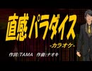【ニコカラ】直感パラダイス【off vocal】