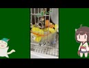 【 #フクロモモンガ 】僕は寝床の底に潜りたいの！【 #おはモモンガ 】