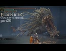 【ELDEN RING Shadow of the Erdtree】発売日から全ボスを倒すまで【実況】 part20