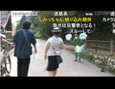 しみっちゃんニコニコバスツアー公式出演