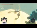 【ゼルダの伝説】周回遅れのティアキン Part144【TotK】