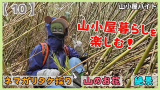 【ぐでっとクマ】山小屋暮らしを楽しむ！　ネマガリタケ採り、山のお花、絶景【 10 】