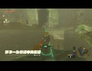ゼルダの伝説　ティアーズ オブ ザ キングダム　実況プレイPart124