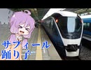 【JR東日本の最高傑作】サフィール踊り子のグリーン車に乗ってみた