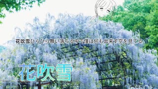 花吹雪ひらりんぱ