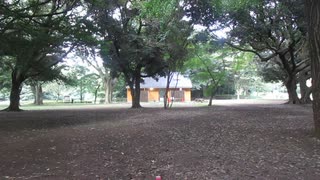 【残暑厳しい】ハレ晴れユカイ【代々木公園です】