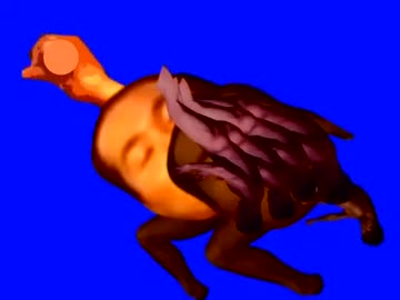 野鳥先輩BB.ホモコースト対策版