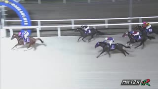第11回サッポロクラシックカップ（アドマイヤマーズ賞） イイデマイヒメ