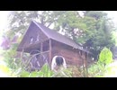 【すずめ】ハロ／ハワユ【踊ってみた】