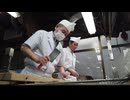 柴又案内猫