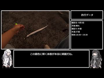 アリミリ姉妹の淡路島海釣り日記Part.8