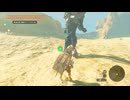 【ティアキン】スタルリ台地のライネル　ゼルダの伝説ティアーズオブザキングダム #ゼルダの伝説 #ティアキン #zelda