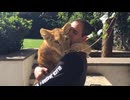 猛獣の母親になった男