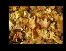秋の景色(Piano)