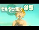 【ぽつぽつ実況 #5】モドレコ【ティアーズオブザキングダム】