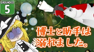 【遭難３】博士と助手は研究所の裏庭で遭難しました。５日め【Grounded】【ゆっくり実況】