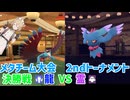 【メタチーム大会2024】Lack of Luck(龍) VS 好きな統一発表ボイスロイド(霊)　龍統一視点【ナースロボ_タイプT実況】