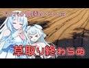 2024年9月9日　農作業日誌P1113　お山の種まきをした後に家庭菜園で草取りをしたが・・・終わらなぬ