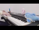 【ピアノ】「君の知らない物語」弾いてみた【化物語ED】