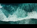 Wave motion refers to the movement