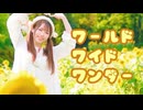 【めこた。】ワールドワイドワンダー 踊ってみた【夏】