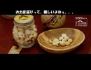【第293回】豆腐焼き！とお土産選びとオニユリ