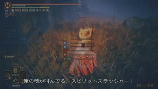 エルデンリング TMCターニッシュドメイクライ侵入Part 187