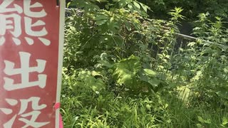 【秘境】精神と時の滝に行ってみた（ハイボール）