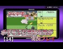 ポケモンに無知な男が【ポケットモンスタールビー】実況プレイ【14】