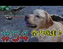 【初見】【２人実況】この先の未来に生きる君は幸せでいてくれるのか#54【FF7リバース】