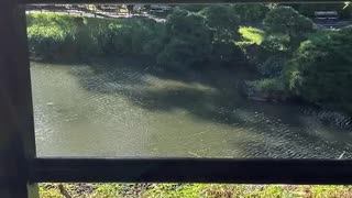 ラベルをはり思考停止する羊(己への戒めも込めて)