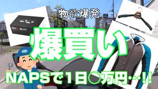 【NAPS】初心者ライダー、物欲に抗えず…！？【YZF-R25】