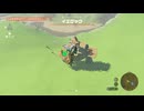 【ティアキン】サハスーラ平原のイエロック　ゼルダの伝説ティアーズオブザキングダム #ゼルダの伝説 #ティアキン #zelda
