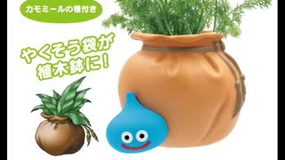 ドラゴンクエスト～薬草の歌～