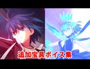 Fate/Grand Order シエル 追加宝具ボイス集（対アルクェイド専用）