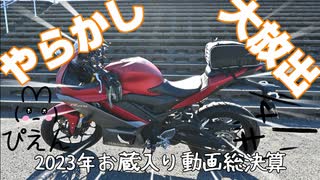 【初心者ライダー】やらかしに空回り、2023年の総決算【YZF-R25】