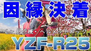 【初心者ライダー】ついにヘルメットロックがつきました!!【YZF-R25】