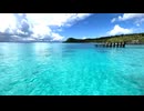 Tropical Sea is a mesmerizing