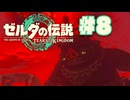 【ぽつぽつ実況 #8】イエロック【ティアーズオブザキングダム】