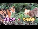 またケンカ…