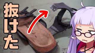 どっきりどっきりDON DON!!サンダルのストラップが抜けたら どーしよ?(どーする?)【TATAMI】
