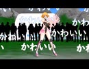 NO.294　花見でダンス　サクラレディ