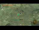【ティアキン】西ヘブラのイエロック　ゼルダの伝説ティアーズオブザキングダム #ゼルダの伝説 #ティアキン #zelda